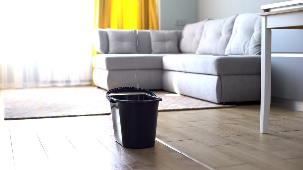 Water droplets leaking in bucket from ceiling, damaged roof, house renovation